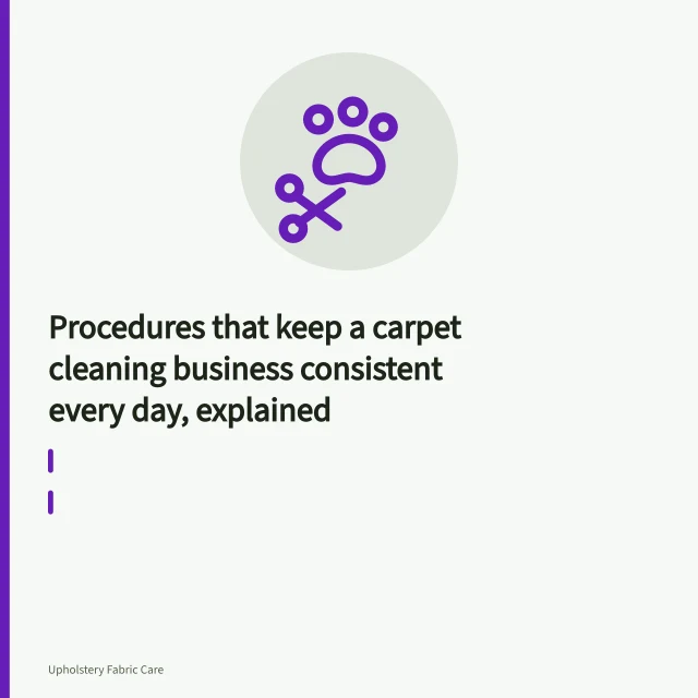Carpet cleaning wand rinsing beige loop-pile carpet in overlapping wet passes. Procedures that keep a carpet cleaning business consistent every day, explained