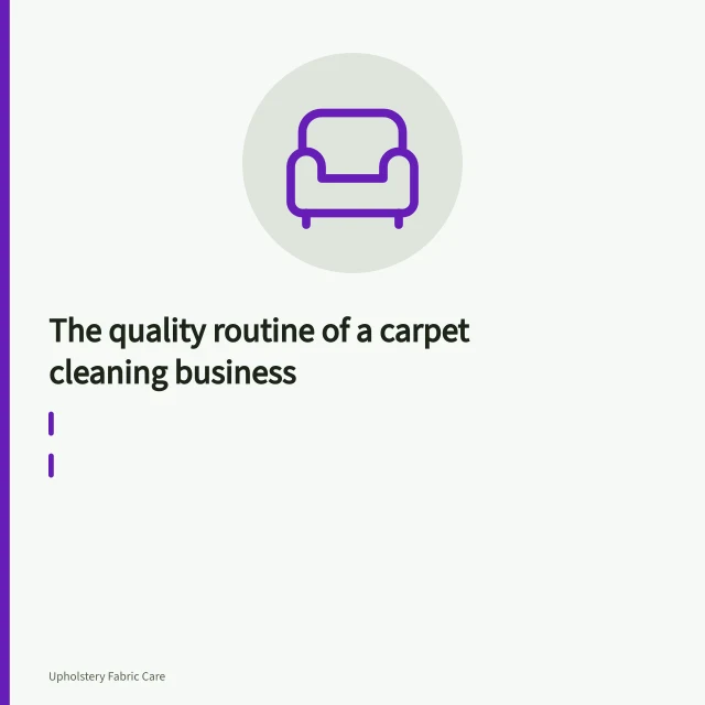Carpet cleaning wand gliding over wet carpet during hot water extraction. The quality routine of a carpet cleaning business
