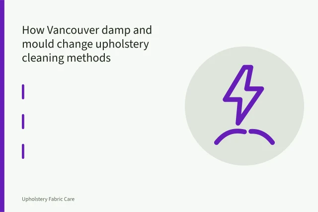 Moisture meter pins pushed into sofa cushion foam to check dampness. How Vancouver damp and mould change upholstery cleaning methods