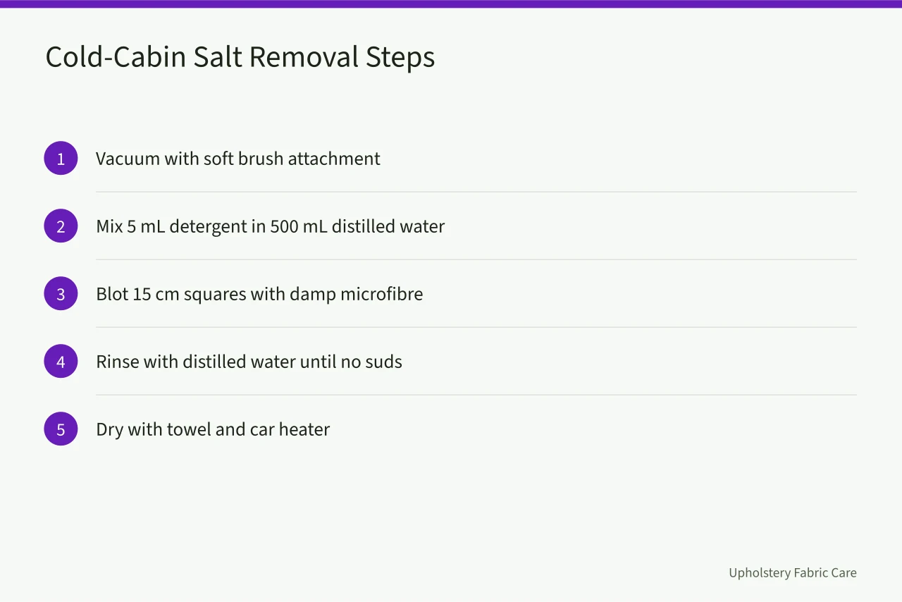 Five-step diagram for removing salt from fabric car seats (How to Remove Salt Stains from Fabric Car Seats (Canadian Winter Guide))