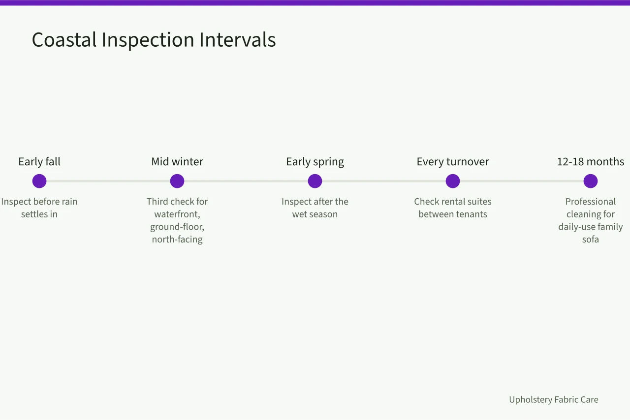 Timeline of coastal BC upholstery inspection intervals by season and use (How Vancouver damp and mould change upholstery cleaning methods)